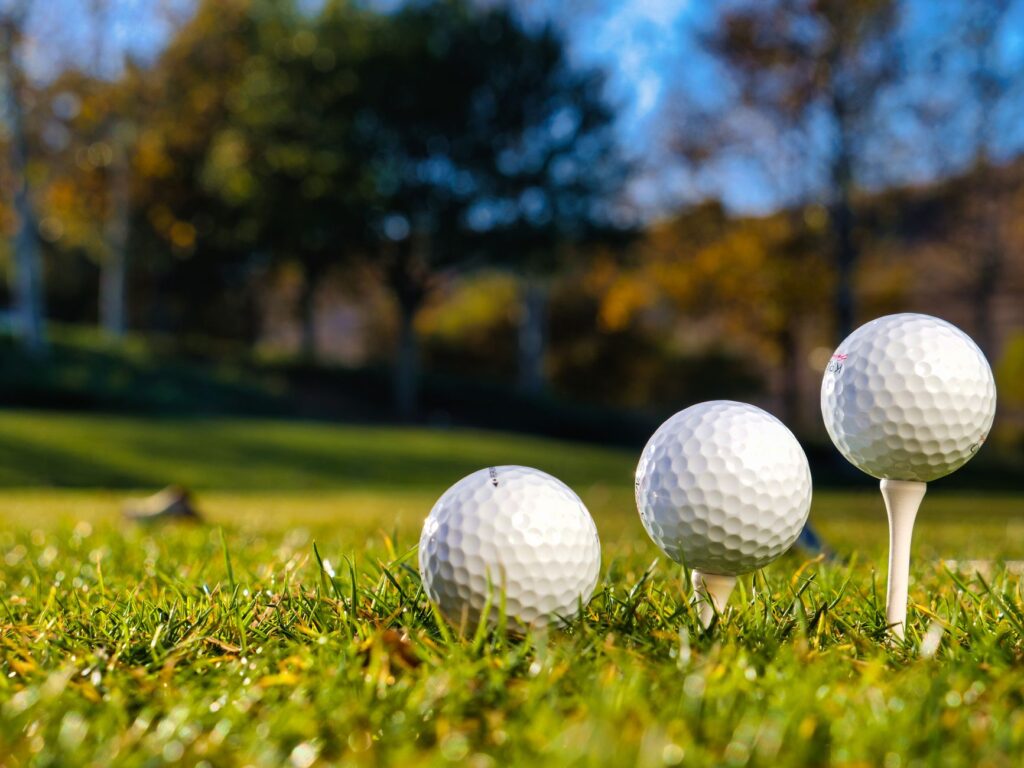 A variety of golf balls and tees laid out on a green background. — Dungeness golf equipment