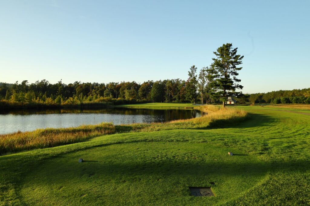 Colorful fall foliage surrounding a tee box on a Dungeness golf course. — best time to visit Dungeness golf